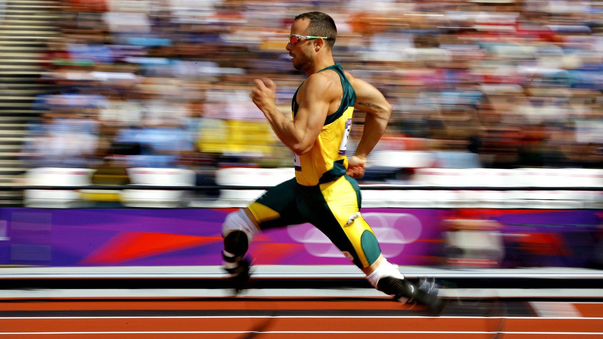 菲尔普斯,泳坛传奇的辉煌生涯与不朽遗产